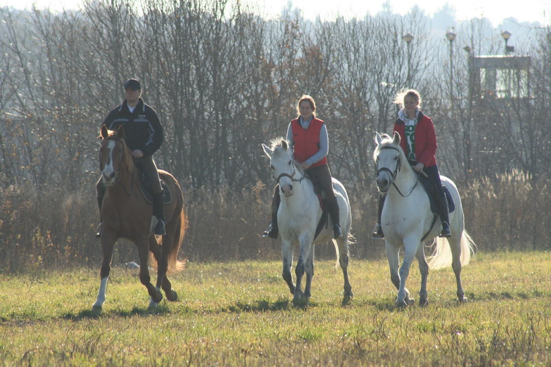 IMG_1002.jpg1.jpg"%20height="533"%20width="800